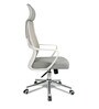 AfectuosaHigh Back Ergonomic Chair in White Colour