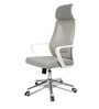AfectuosaHigh Back Ergonomic Chair in White Colour
