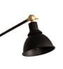 Afralia Black Wall Sconce