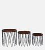 Afranius Solid Wood Nest Of Tables In Black Finish