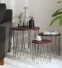Afranius Solid Wood Nest Of Tables In Black Finish