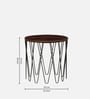 Afranius Solid Wood Nest Of Tables In Black Finish
