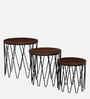 Afranius Solid Wood Nest Of Tables In Black Finish