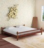 Agastya Sheesham Wood King Size Bed In Provincial Teak Finish