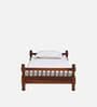 Agastya Sheesham Wood Single Bed in Scratch Resistant Honey Oak Finish