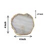 Agate Zodiac Sign Leo Coaster for Bar, Beer, Coffee, Tea
