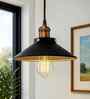 Agila Black Metal Hanging Light