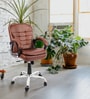 Agita Medium Back Office Executive Chair In Dark Brown Colour