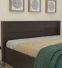 Aglaea King Size Bed With Box Storage & 1 Bedside Table In Wenge Finish