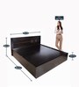 Aglaea King Size Bed With Box Storage & 1 Bedside Table In Wenge Finish