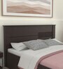 Aglaea Queen Size Bed in Wenge Finish with Box Storage