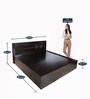 Aglaea Queen Size Bed in Wenge Finish with Box Storage