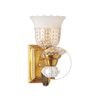 Aigla Brass/Gold Glass & Mild Steel Wall Light