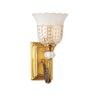 Aigla Brass/Gold Glass & Mild Steel Wall Light
