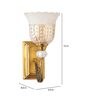 Aigla Brass/Gold Glass & Mild Steel Wall Light