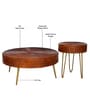 Ainianos Mango Wood Coffee Table Set In Honey Oak Finish
