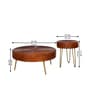 Ainianos Mango Wood Coffee Table Set In Honey Oak Finish