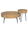 Ainianos Mango Wood Coffee Table Set In Natural Finish