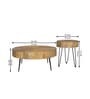 Ainianos Mango Wood Coffee Table Set In Natural Finish