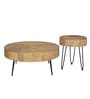Ainianos Mango Wood Coffee Table Set In Natural Finish
