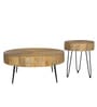 Ainianos Mango Wood Coffee Table Set In Natural Finish