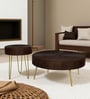Ainianos Mango Wood Coffee Table Set In Walnut Finish