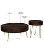 Ainianos Mango Wood Coffee Table Set In Walnut Finish