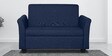 Ajmer 2 Seater Sofa in Cherry Blue Colour
