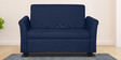 Ajmer 2 Seater Sofa in Cherry Blue Colour