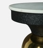 Akenside End Table In Black & Golden Finish with Marble Top