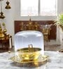 Akhand Jyot Diya with Wick Lifting Lever Brass Oil Lamp (Golden)