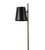 Aki Matte Black Metal Shade Floor Lamp with Metallic Gold Base