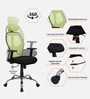 Akira High Back Breathable Mesh Ergonomic Chair with Adjustable Lumbar Support in Green Color