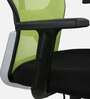 Akira High Back Breathable Mesh Ergonomic Chair with Adjustable Lumbar Support in Green Color