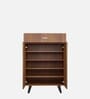 Akiyama Shoe Cabinet In Leon Teak Finish