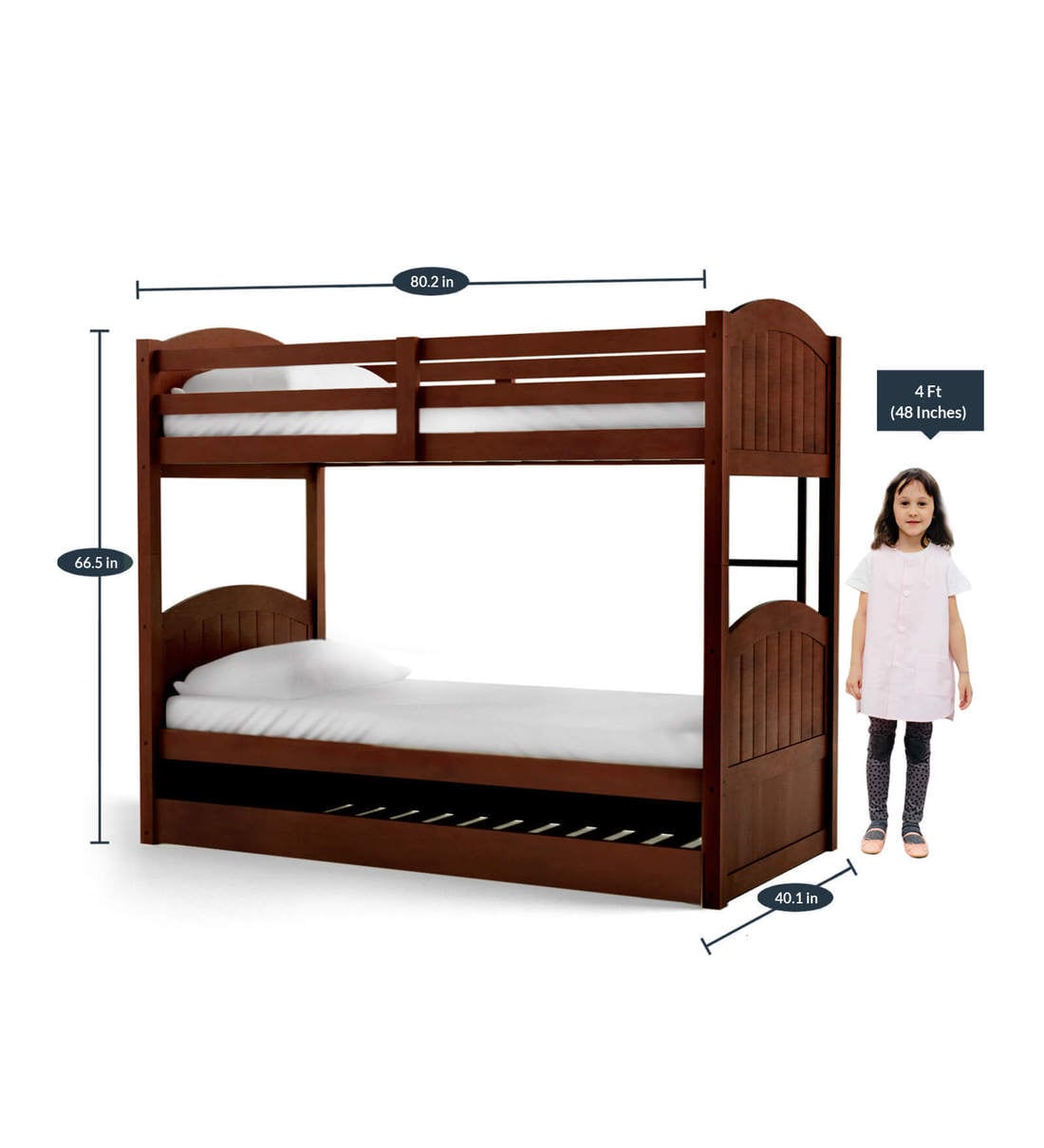Buy Alexander Bunk Bed with Pull Out Bed in Walnut Finish CasaCraft
