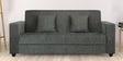 Alba 3 Seater Sofa in Grey Colour