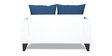 Alex 2 Seater Sofa In Blue & White Colour