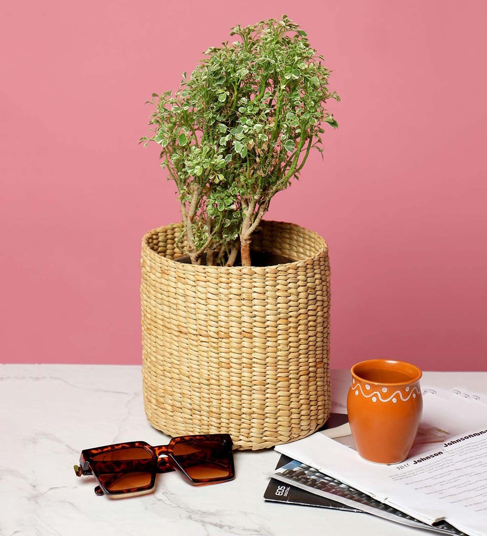 (1Pc) Beige Kouna Grass Handwoven Multipurpose Planter & Storage Basket