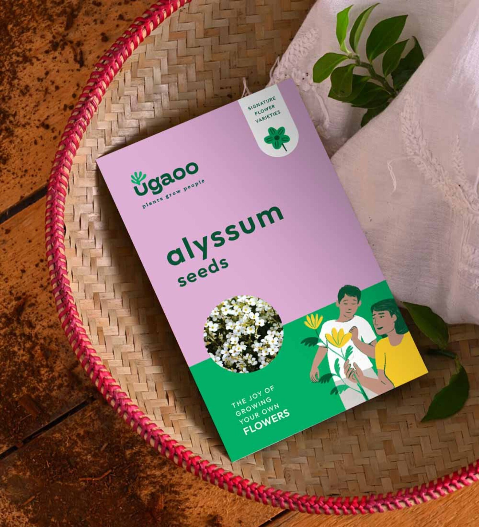 Alyssum (200 Seeds)
