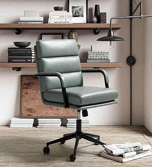 Alina Leatherette Executive Chair In Sage Colour
