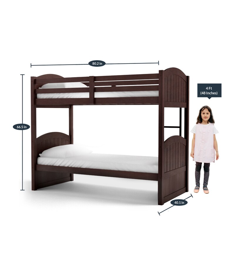 Buy Alexander Bunk Bed in Wenge Finish CasaCraft By Pepperfry Online