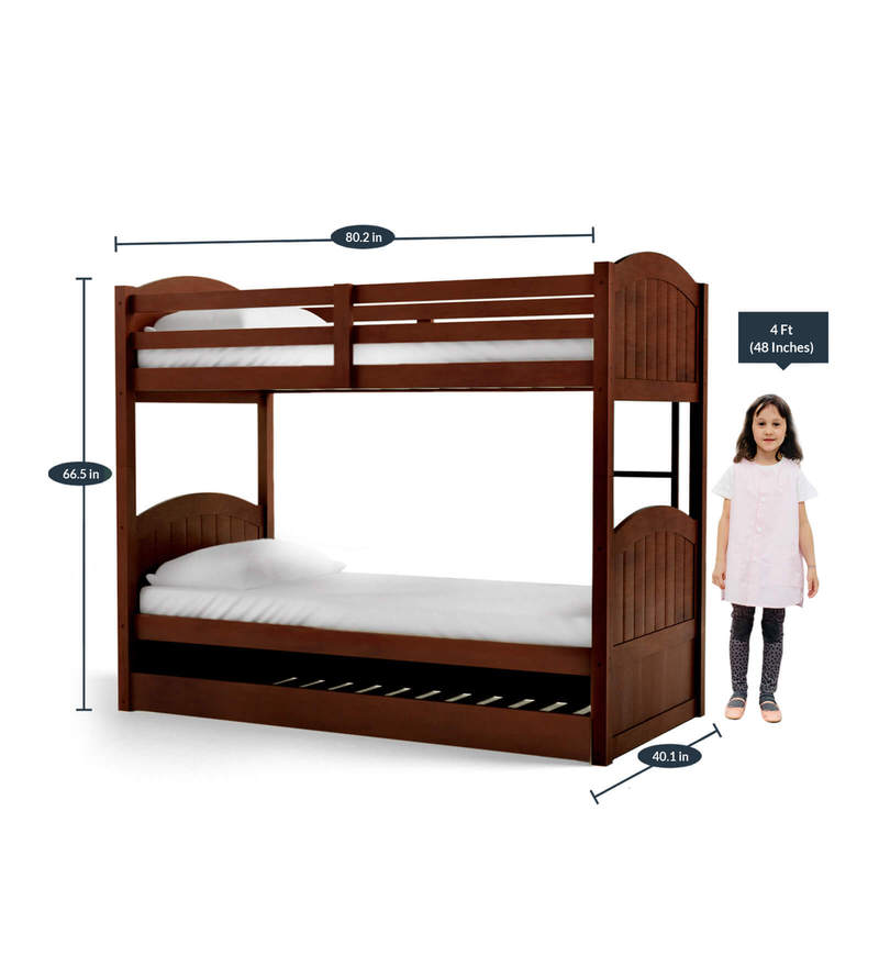 Buy Alexander Bunk Bed with Pull Out Bed in Walnut Finish CasaCraft