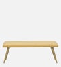 Alanso Metal Bench In Golden Colour