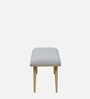 Alanso Metal Bench In Golden Colour