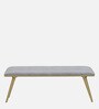 Alanso Metal Bench In Golden Colour