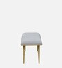 Alanso Metal Bench In Golden Colour