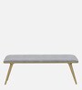 Alanso Velvet Bench In Grey Colour On Golden Base