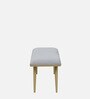 Alanso Velvet Bench In Grey Colour On Golden Base