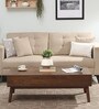 Alarico Solid Wood Coffee Table In Walnut Finish